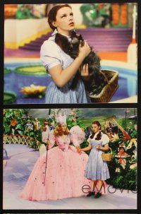 1y075 WIZARD OF OZ 5 color 9x12 color litho prints R98 Judy Garland all-time classic!