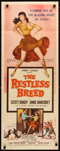 2a541 RESTLESS BREED insert '57 cowboy Scott Brady & sexy young Anne Bancroft!