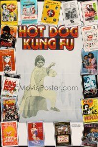 2s288 LOT OF 20 FORMERLY TRI-FOLDED MOSTLY KUNG FU AND SEXPLOITATION ONE-SHEETS '70s-80s cool!