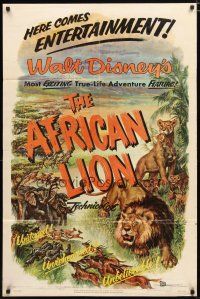 2t021 AFRICAN LION 1sh '55 Walt Disney jungle safari documentary, cool animal artwork!