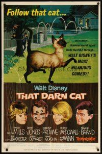 3b847 THAT DARN CAT style B 1sh '65 great art of wacky Disney Siamese feline, follow that cat!