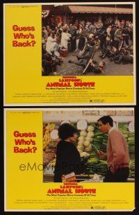 3j862 ANIMAL HOUSE 2 LCs R79 Landis classic, Tim Matheson with cucumber, chaotic parade scene!