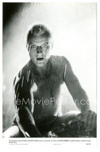 3k094 BLADE RUNNER 6.5x10 still '82 powerful replicant Rutger Hauer savors a moment of victory!