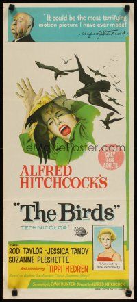 3w032 BIRDS Aust daybill '63 Alfred Hitchcock, Tippi Hedren, classic art of attacking avians!