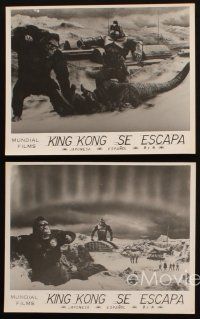 3w399 KING KONG ESCAPES 4 Spanish 8x10.25 stills '68 great images of rubbery monsters battling!