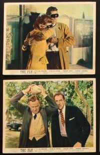 3w382 FLY 8 color English FOH LCs '58 Al Hedison, Patricia Owens, Vincent Price, classic sci-fi!