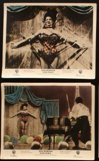 3w071 PHANTOM OF THE RUE MORGUE 14 German LCs '54 Karl Malden, Patricia Medina, different images!