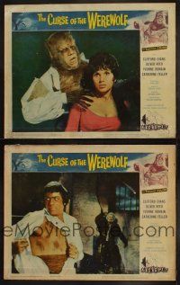 3w162 CURSE OF THE WEREWOLF 3 LCs '61 Hammer, Oliver Reed as the monster & during transformation!