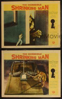 3w164 INCREDIBLE SHRINKING MAN 3 LCs '57 special effects scenes w/giant cat, yarn ball & mousetrap!