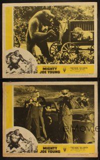 3w155 MIGHTY JOE YOUNG 4 LCs R57 first Ray Harryhausen, includes two special effects scenes!