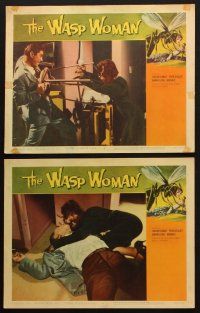 3w147 WASP WOMAN 6 LCs '59 great images of Susan Cabot as Roger Corman's lusting insect queen!