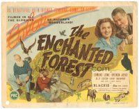 3y132 ENCHANTED FOREST TC '45 as beautiful as a Disney feature come to life, boy & his dog image!