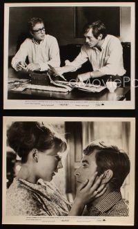 4c815 ALFIE 3 8x10 stills '66 Michael Caine with Shelley Winters, Jane Asher & Terence Stamp