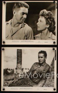 4c739 AMERICAN GUERRILLA IN THE PHILIPPINES 4 8x10 stills '50 Tyrone Power, Fritz Lang, WWII!