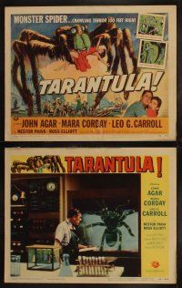 4f066 TARANTULA 8 LCs '55 Jack Arnold, great images of the 100 foot high spider monster & more!