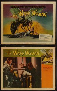 4f267 WASP WOMAN 8 LCs '59 rare full set, Susan Cabot as Roger Corman's lusting insect queen!