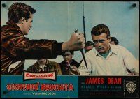 4r213 REBEL WITHOUT A CAUSE Italian photobusta '56 Nicholas Ray, James Dean in knife fight!