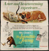4w295 INCREDIBLE JOURNEY 6sh '63 Disney, art of Bull Terrier, Siamese cat & Labrador Retriever!