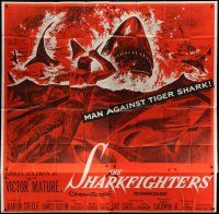 4w354 SHARKFIGHTERS 6sh '56 no man or camera has ever captured before, art of man vs tiger shark!