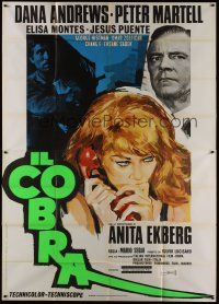 4w127 COBRA style B Italian 2p '67 art of Dana Andrews, Peter Martell & sexy Anita Ekberg!