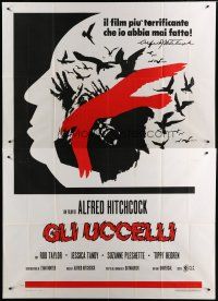 5b139 BIRDS Italian 2p R70s cool different art of Alfred Hitchcock profile & Tandy attacked!