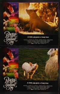 5c066 BABE 8 int'l LCs '95 James Cromwell, classic talking pig comedy, the gallant pig!