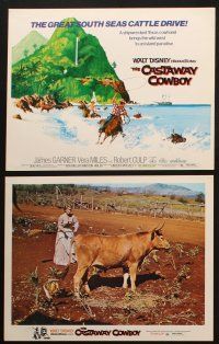 5c025 CASTAWAY COWBOY 9 LCs '74 Walt Disney, James Garner & Vera Miles in Hawaii!