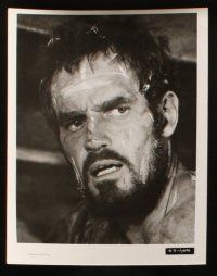 5d499 AGONY & THE ECSTASY 7 8x10 stills '65 Charlton Heston as Michelangelo, one w/ Rex Harrison!
