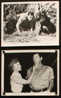 5d313 JUNGLE MAN-EATERS 15 8x10 stills '54 Johnny Weissmuller fighting cannibals, w/ Karin Booth!