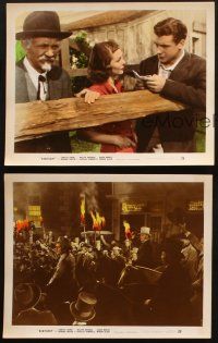 5d217 KENTUCKY 3 color 8x10 stills '38 Richard Green, pretty Loretta Young & Walter Brennan!