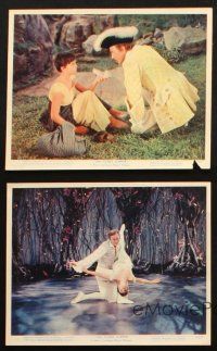 5d154 GLASS SLIPPER 5 color 8x10 stills '55 pretty dancer Leslie Caron, Michael Wilding!