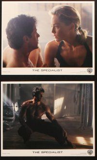 5d104 SPECIALIST 8 color 8x10 stills '94 Sylvester Stallone, Sharon Stone, James Woods!