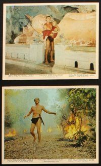 5d030 TARZAN'S THREE CHALLENGES 9 color 8x10 stills '63 Edgar Rice Burroughs, Mahoney