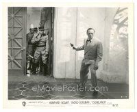 5k243 CASABLANCA 8.25x10 still R49 Peter Lorre tries to escape by shooting at police!