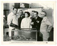 5k515 IT CAME FROM BENEATH THE SEA 8x10.25 still '55 Faith Domergue & others in lab with tentacle!