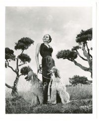 5k618 MARI BLANCHARD 8.25x10 still '52 incredible portrait with her two dogs from her first movie!