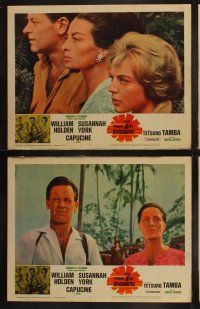 5t034 7th DAWN 8 LCs '64 cool images of William Holden, sexy Susannah York & Capucine!