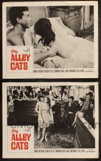 5t845 ALLEY CATS 3 LCs '66 Radley Metzger, sex & violence takes off where the Pussy Cats leave off!