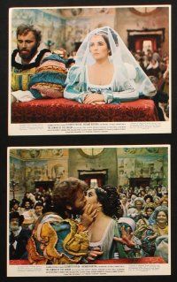 5w044 TAMING OF THE SHREW 8 color 8x10 stills '67 Elizabeth Taylor does Shakespeare, Zeffirelli