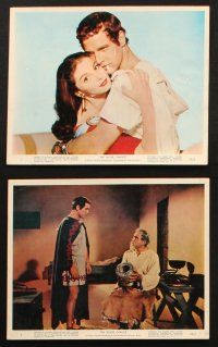 5w012 SILVER CHALICE 11 color 8x10 stills '55 Pier Angeli, Mayo & Paul Newman in his first movie!