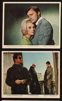 5w074 VENETIAN AFFAIR 6 color 8x10 stills '67 spies Robert Vaughn & sexy Elke Sommer in Italy!