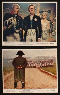 5w009 WATERLOO 12 color 8x10 stills '70 Rod Steiger as Napoleon, directed by Sergei Bondarchuk!