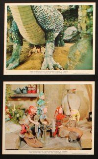5w010 WONDERFUL WORLD OF THE BROTHERS GRIMM 12 color 8x10 stills '62 Harvey, George Pal fairy tales