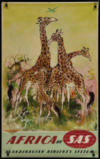 5x063 SCANDINAVIAN AIRLINES SYSTEM AFRICA Danish travel poster '50s Nielsen art of giraffes!