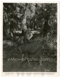 6c077 ADVENTURES OF ROBIN HOOD candid 8x10.25 still '38 rare early production image of Errol Flynn!