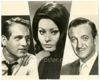 6c536 LADY L 8.25x10 still '66 cool split image of Paul Newman, sexy Sophia Loren & David Niven!