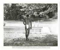 6c870 SWIMMER 8.25x10 still '68 naked Burt Lancaster by swimming pool, directed by Frank Perry!