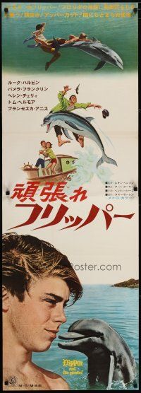 6d411 FLIPPER'S NEW ADVENTURE Japanese 2p '64 Flipper the fearless is more fin-tastic than ever!