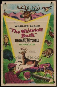 6g973 WHITETAIL BUCK 1sh '55 RKO nature documentary, art of deer & forest animals!