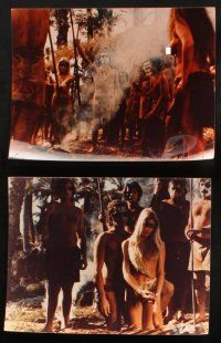 6j013 CANNIBALS 12 color Dutch 8x10.5 stills '79 Prosperi's I Cannibali, natives eating humans!